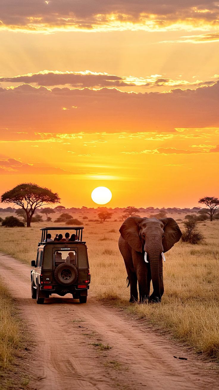 Kenya Hover